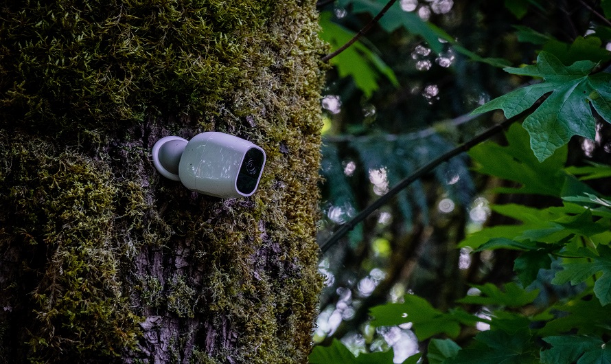 difference between trail camera and security camera